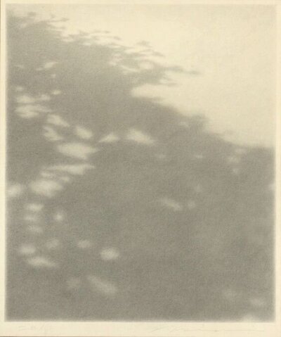 Couple eloping on a mountain overlook in North Georgia with scenic views.