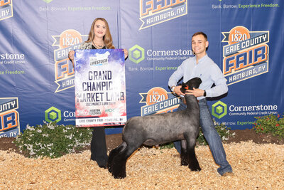 livestock photographer