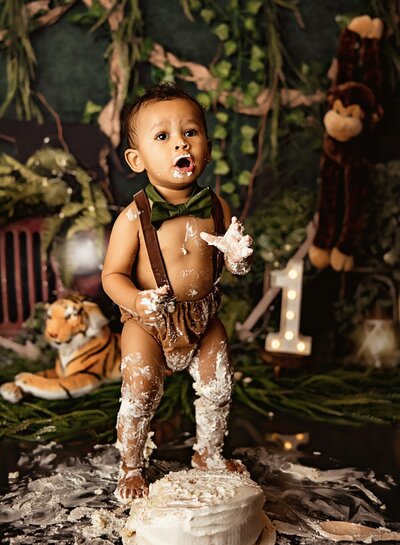 folsom cake smash photos