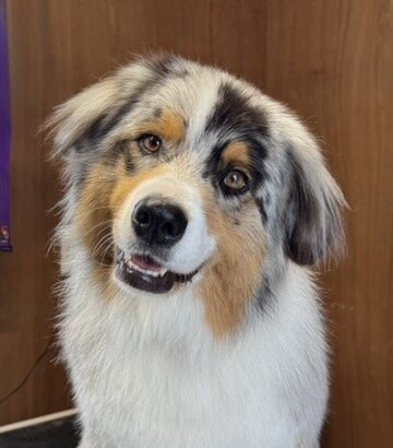 E3EC5262-1368-451F-BACA-3C3DE44CB196_4_5005_c