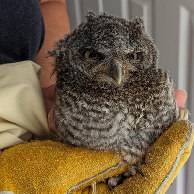 Grumpy baby
