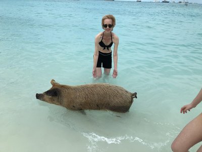 Swimming with Pigs