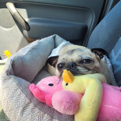 540445079_1200061398829508_2232483790148681462_n