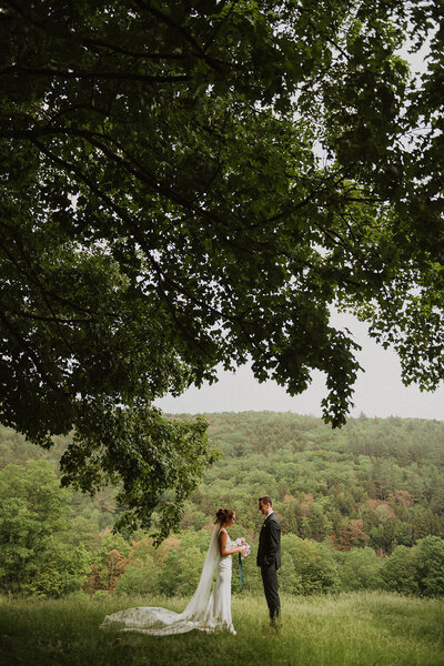 A picturesque and quiet moment of a bride and groom exchanging vows in the middle of a field in Vermont with the mountains in the background.