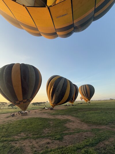 Hot Air Balloons