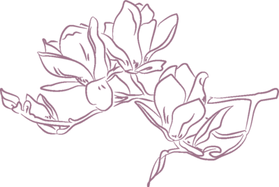 outline of magnolias in purple