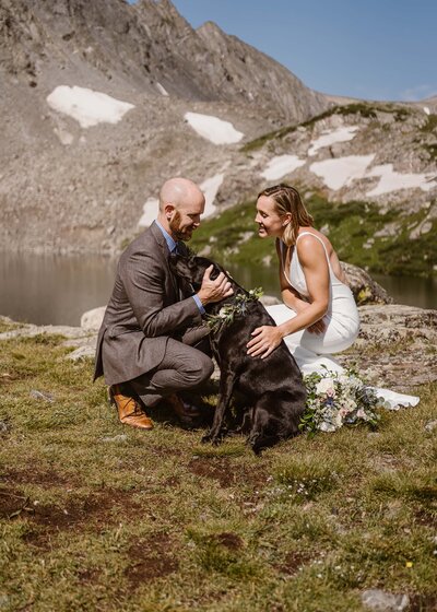 Couple's dog signs their marriage license at their Colorado elopement
