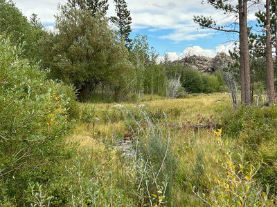 Vacant land with river in Wyoming