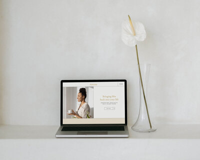 serena-laptop-with-vase-zoom