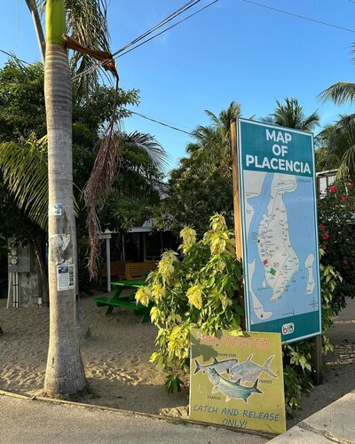 YOUR IMAGE DESCRIPTION HERE