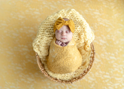 Newborn Photographer Waterford MI