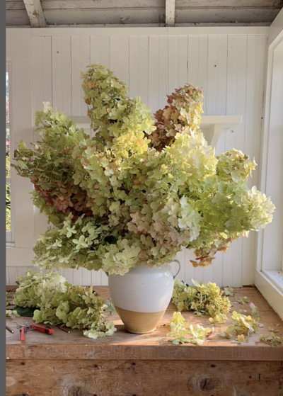 Screenshot 2025-10-01 at 4.55.43 PM