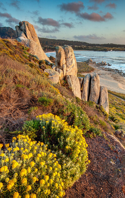 Ribera Beach is one of Carmel-by-the-Sea's best beaches