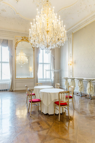 Gentlemen´s salon at luxury Vienna Palace Daun Kinsky 