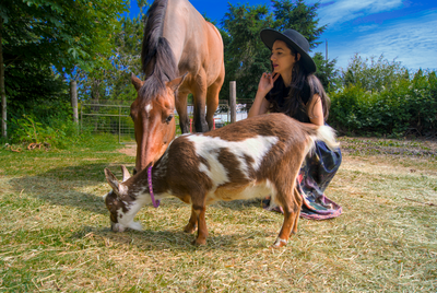 Animal Communicator kneeling beside and connecting with bay horse and spotted goat.