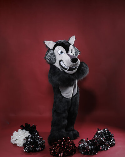 Mascot Wolf High School