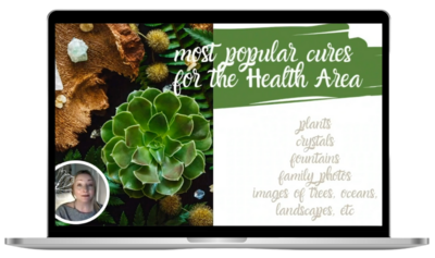 wood feng shui element class health - feng shui home and life  makeover with rodika tchi master feng shui consultant vancouver bc canada