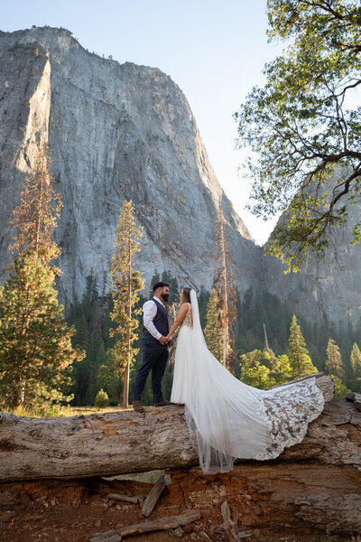 Bride and groom hold hands in Yosemite National Park, with towering granite cliffs and pine trees in the background.