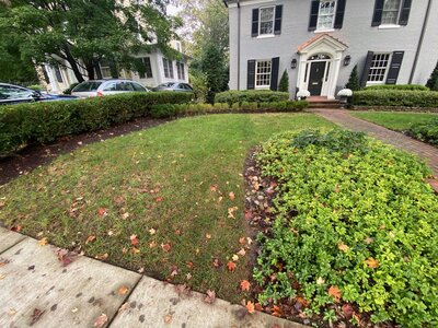 Sidewalk and grass landscaping in need of curb appeal
