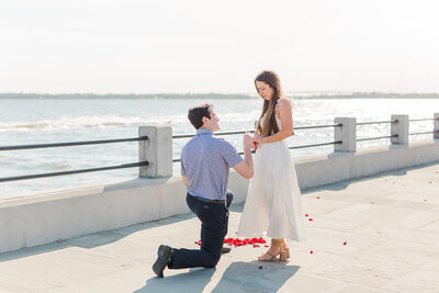 Charleston Proposal Photographer | Laura and Rachel Photography