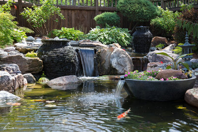 Aquascape pond with swimming koi and flowing water from urns and spillway bowls