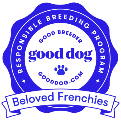 Good dog badge for Beloved Frenchies