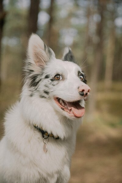 pexels-elina-volkova-16667543