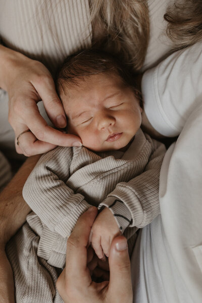 newborn fotoshoot in Breda
