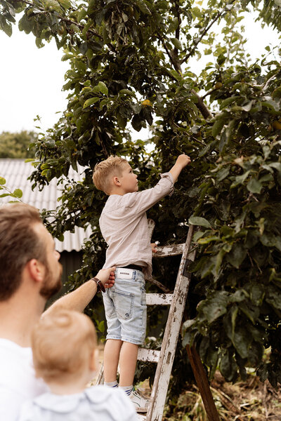meike molenaar fotografie kind in appelboom