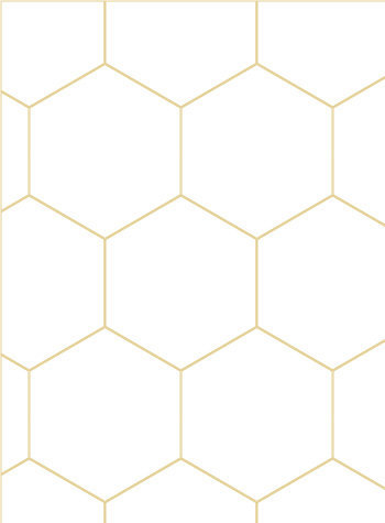 Honeycomb 350x475