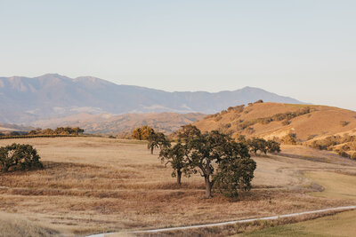 The mountains of Santa Ynez, CA