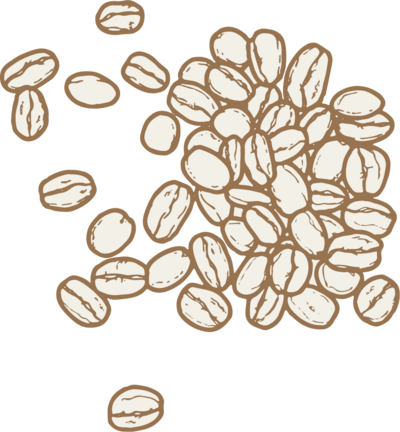 hand illustrated coffee beans