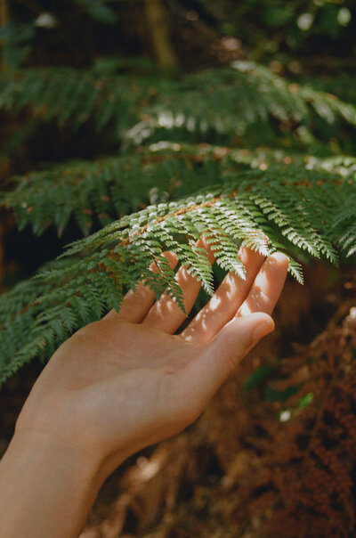Informations sur le déroulement et les tarifs des consultations de naturopathie avec Laetitia Beysang