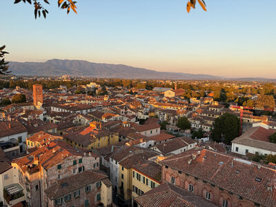 View from on top of the Guinigi Tower in Lucca, Italy.