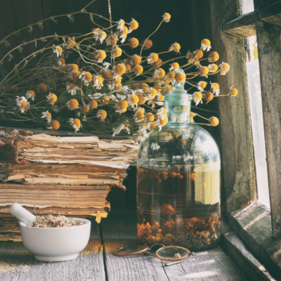 old windowsill with dried herbs, an infusion, and water with dried flowers on it