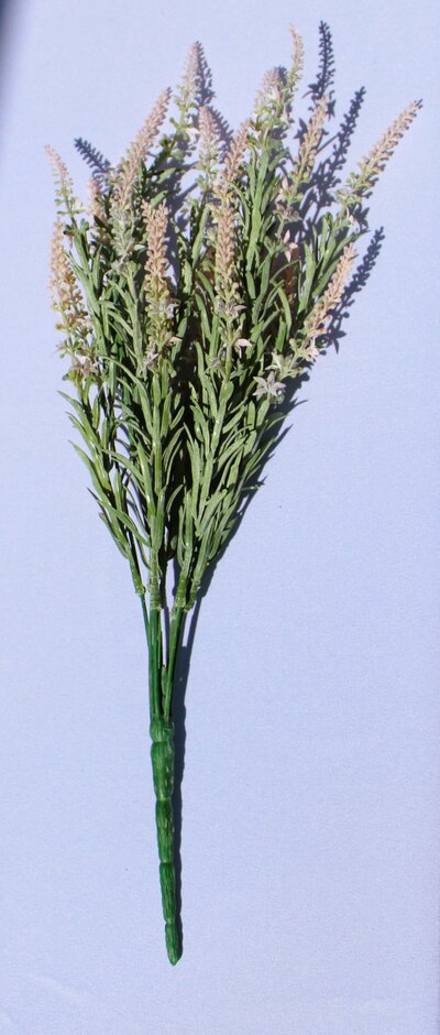 Pink Lavender deluxe bush