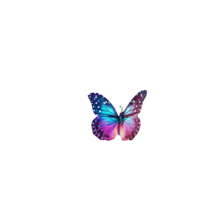 Whimsical Butterfly Element in Fairy Star Template Symbolizing Fairy-Tale Wonder
