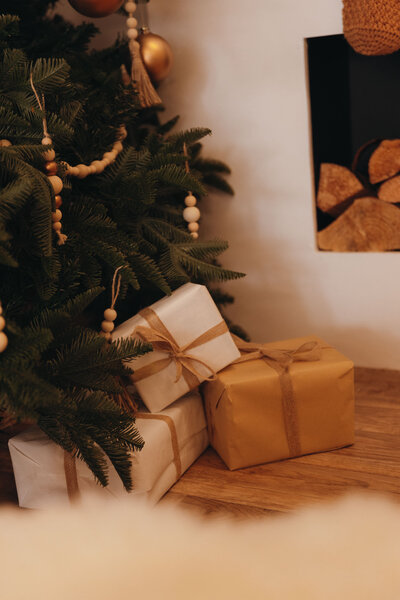 kerstdecoratie in daglichtstudio te Geel tijdens kerstfotoshoot