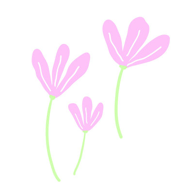 Pink Floral Illustration