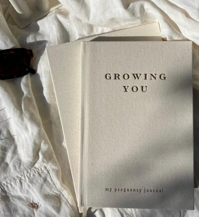 Notebooks for growing a baby