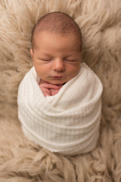 Baby boy wrapped in red wrap with red hat, holding Christmas tree