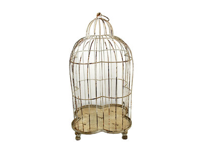 Antique bird cage