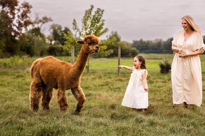 kitchener waterloo family photography mini sessions