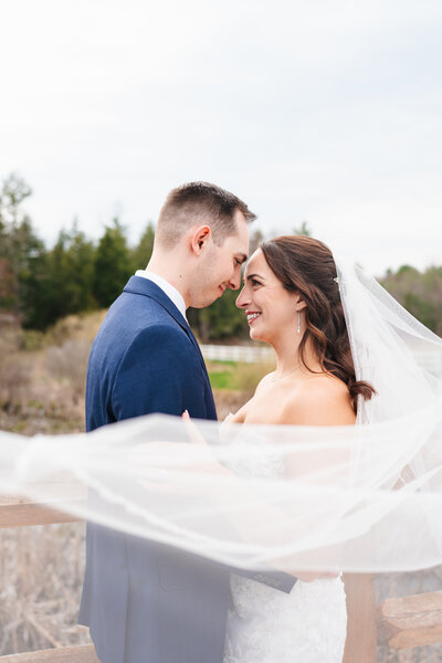 Barn at Bull Meadow in Concord, NH portraits 