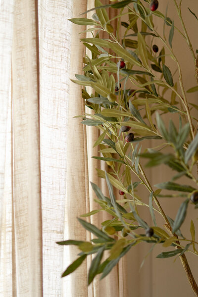 Beauttega South Tampa PMU Studio