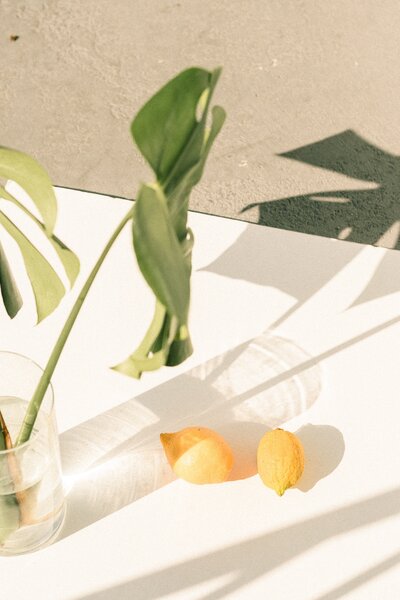 citrons et une plante sur une table avec le soleil