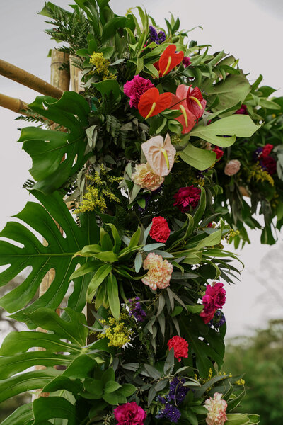 botanical and floral arrangement