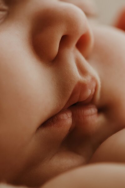 Close-up of newborn baby’s eyelashes, captured by Sydney newborn photographer Sophie Lea.