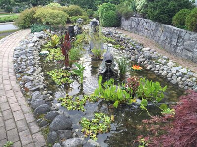 Aquascape Pond