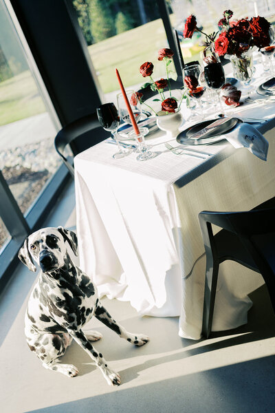 The Skyroom NC- a NC Wedding Venue